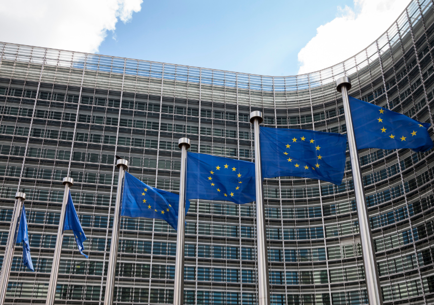 Key trends from the European Parliament Elections 2024