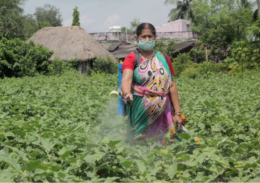 Empowering Women in Agriculture: A Gender-Based Approach to Climate Change and Food Security