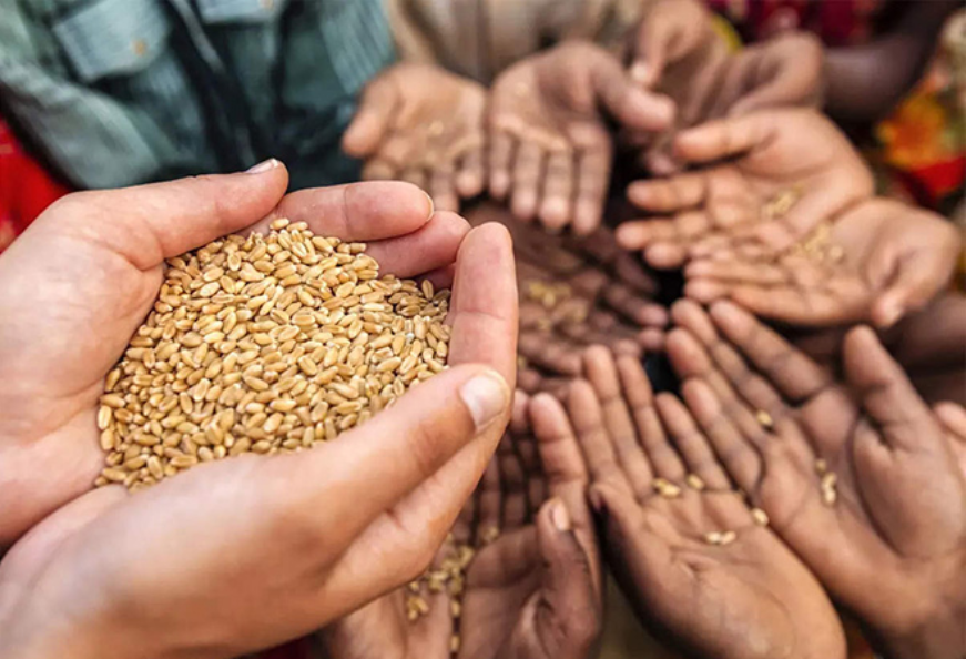 भारत और हिंद-प्रशांत क्षेत्र; खाद्य सुरक्षा के लिए विकास में भागीदारी