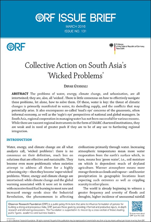 Collective action on South Asia’s ‘wicked problems’  