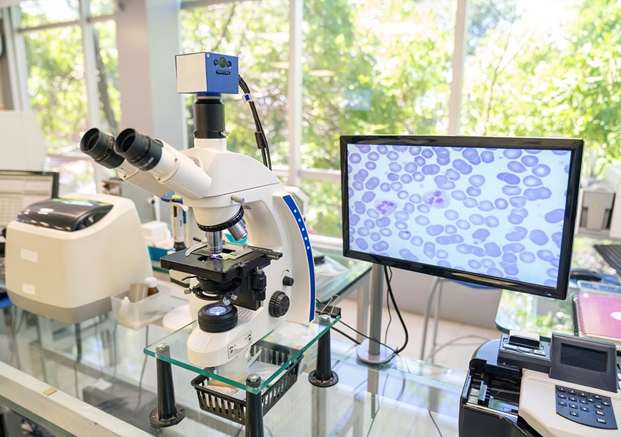 AI, Error, and Academia: The Case of “Vegetative Electron Microscopy”