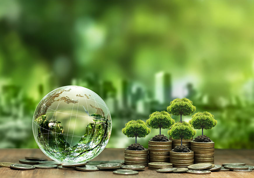 Mobilising Predictable Finance and Technology: A COP30 Priority