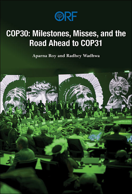 COP30: Milestones, Misses, and the Road Ahead to COP31