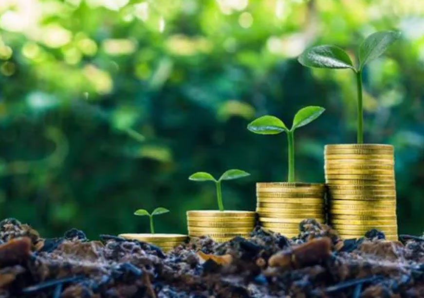 How Credit Ratings Undermine Climate Finance for the Global South