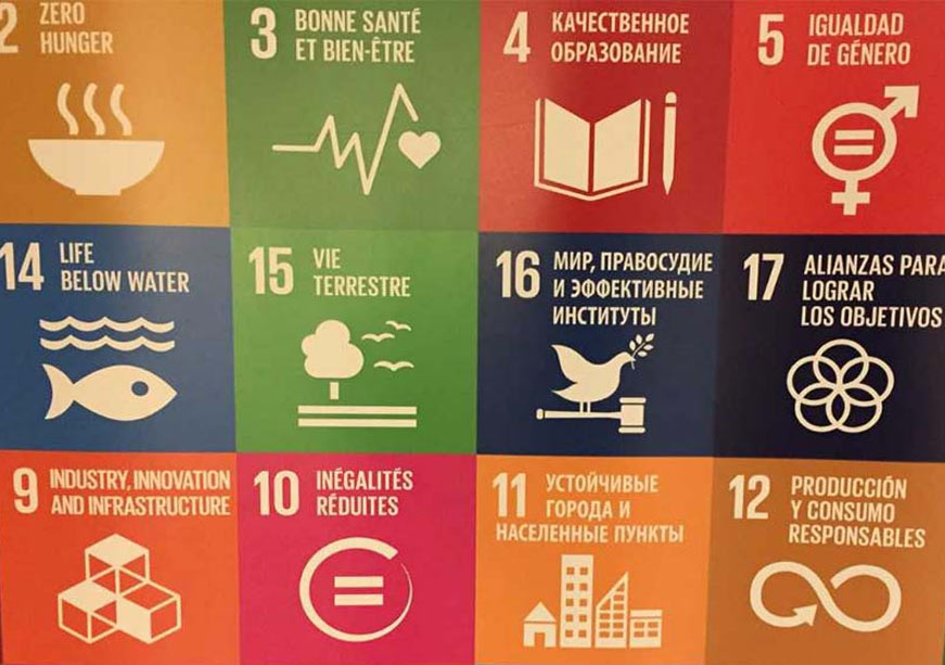 The Irony of Action: How Global Volatility is Regressing the 2030 Agenda