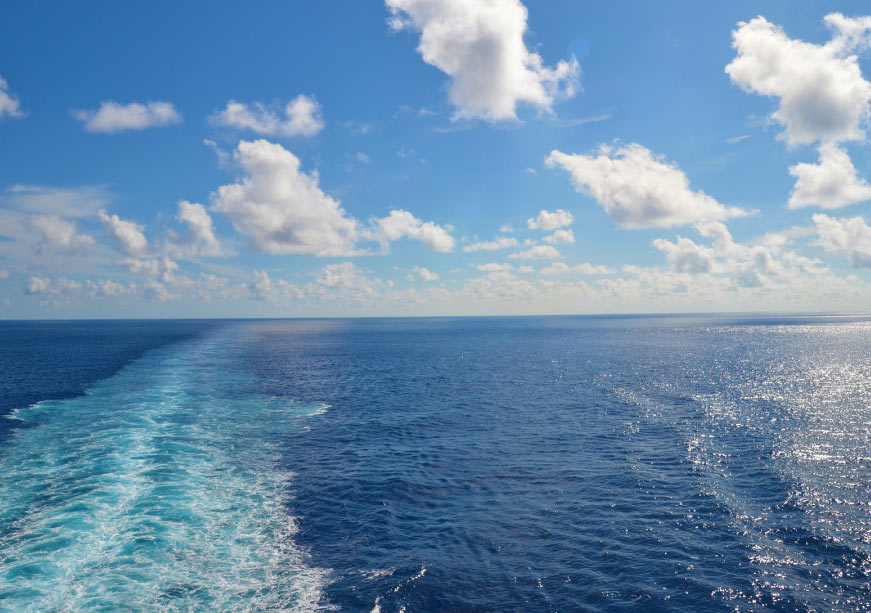 From Awareness to Action: Making Ocean Literacy a Policy Priority