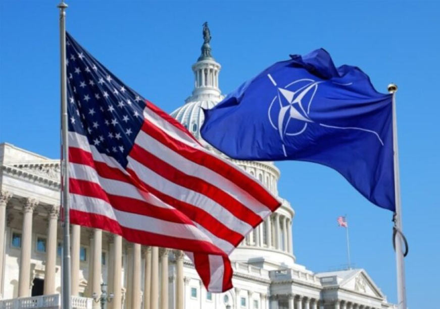 The Paradox of NATO: Between Ideals and Interests