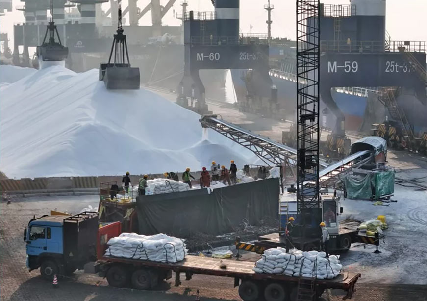 Making Food Supply Chains More Resilient to Geopolitical Shocks