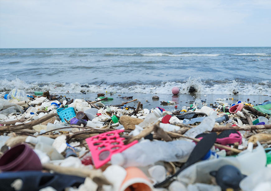 Marine Plastic Pollution: The Case for Sustainable Biotechnology Solutions