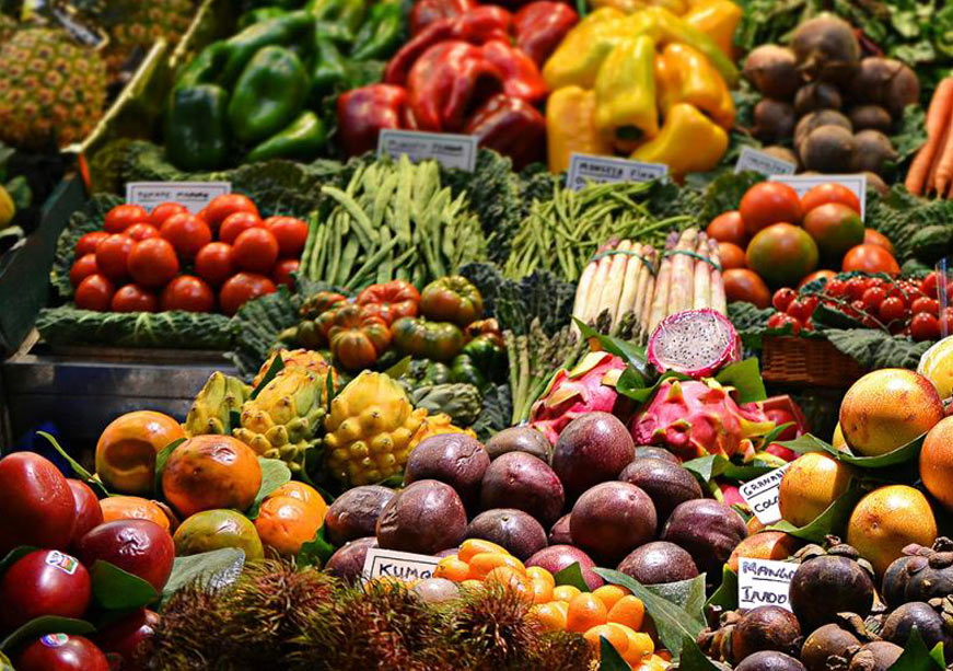 Reimagining Health Systems for Sustainable Food Futures in the Global South