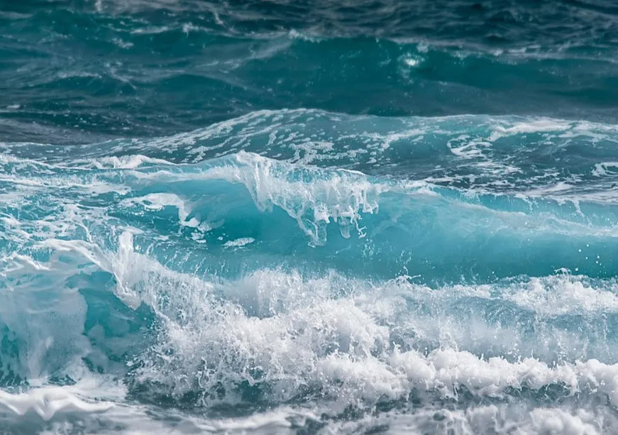 COP30 Roadmaps and the Ocean Agenda