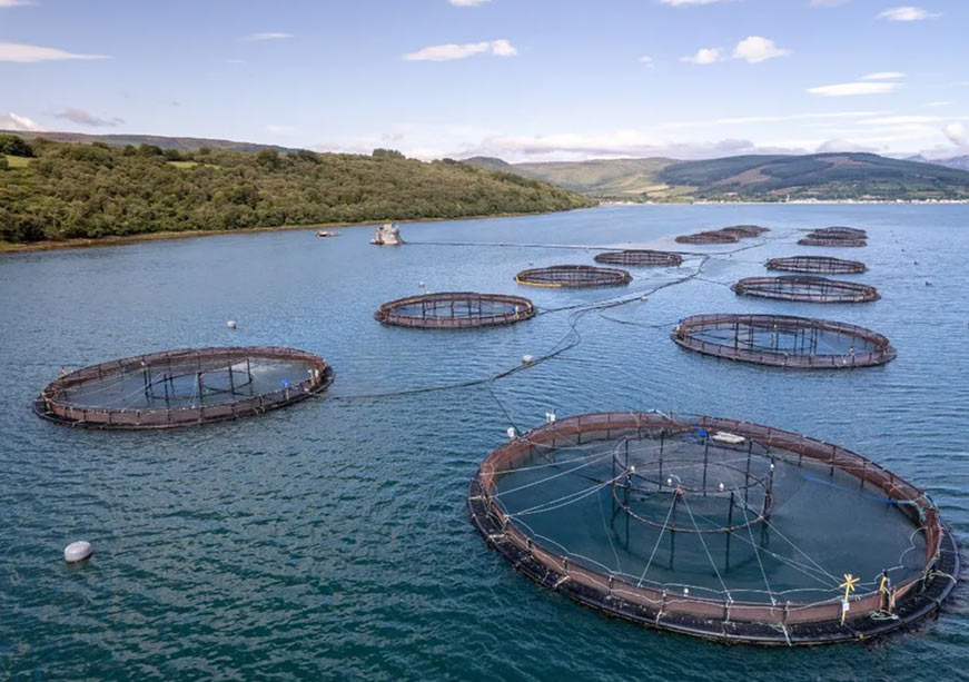 World Oceans Day 2026: Turning Risk into Resilience and Resilience into Opportunity