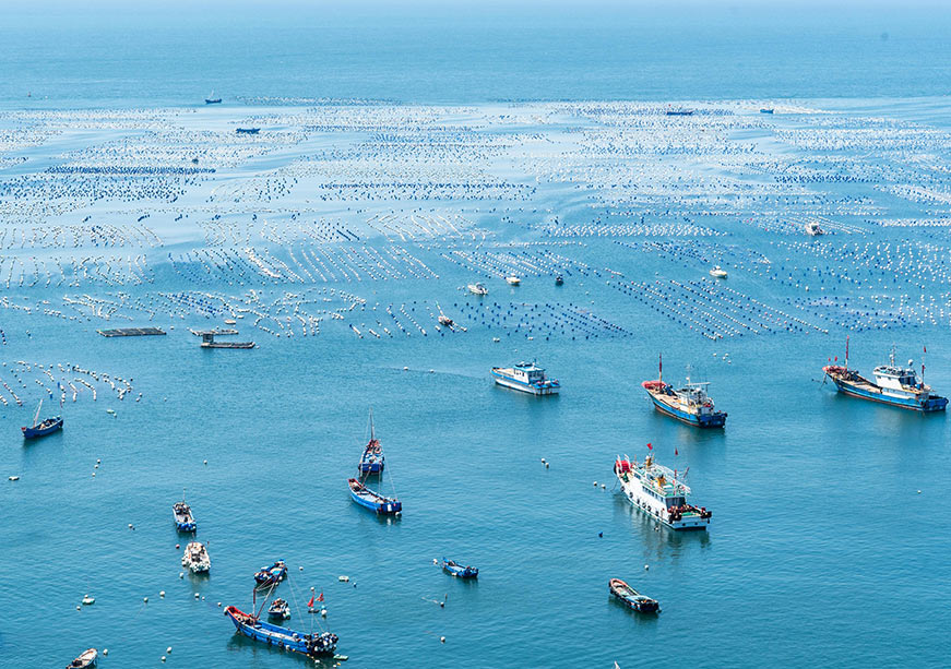 Bridging the Ocean Divide: Rethinking Equity in Global Ocean Governance