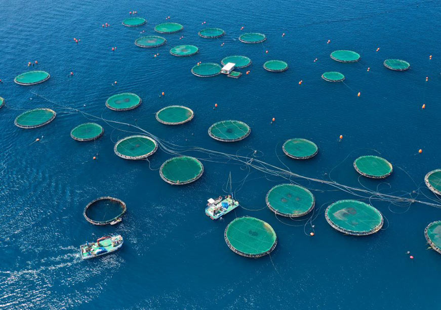 Fuel Access is the Next Frontier of Equitable Ocean Governance
