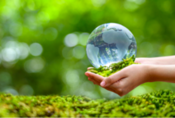 पर्यावरण संरक्षण: समुदायों के लिए छोटे कदम, पर जलवायु अभियान के लिए बड़ी पहल!  