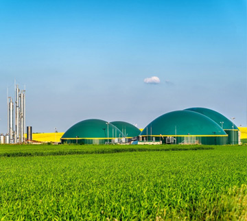 Addressing feedstock challenges to unlock India’s biofuel potential