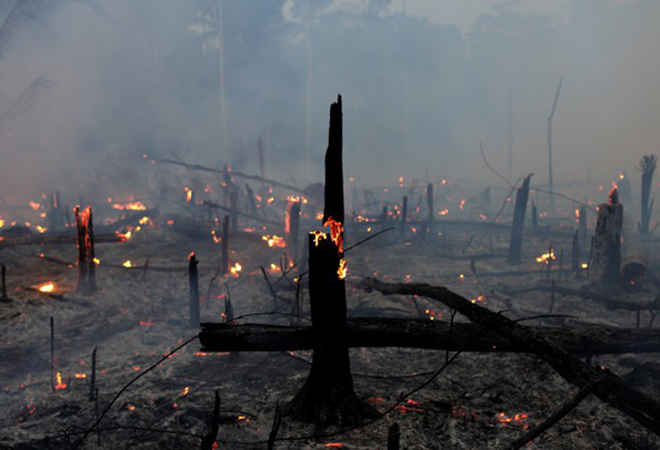 Amazon Forest Fires The Tragedy Of The Global Commons Orf